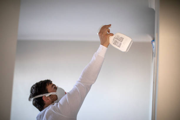Best Preventive Mold Services in University Heights, IA