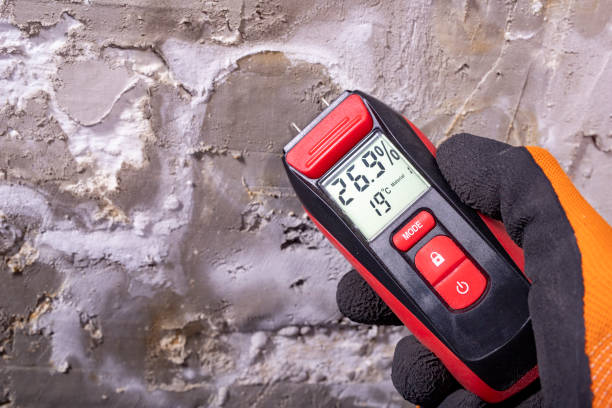 Best HVAC Mold Remediation in University Heights, IA